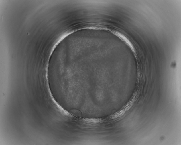 X0000098180855200805081022