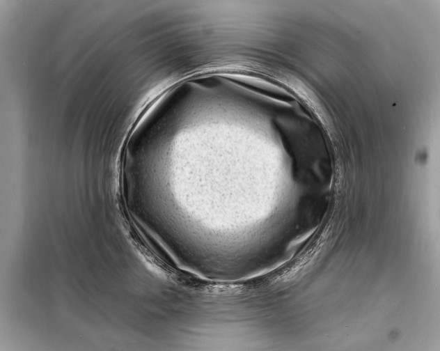 X0000098180858200805081022