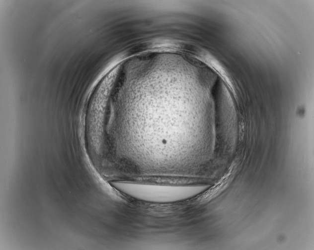 X0000098180859200805081022