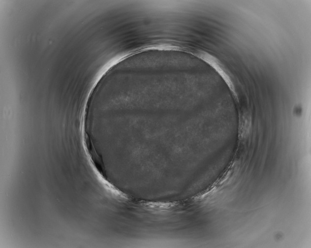 X0000098180861200805081023