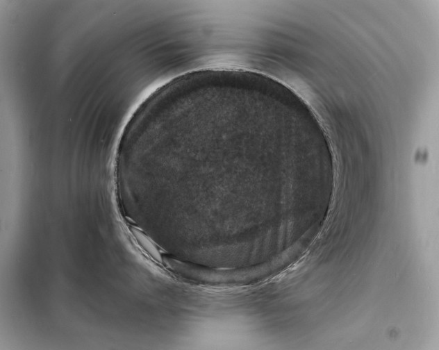 X0000098180864200805081023