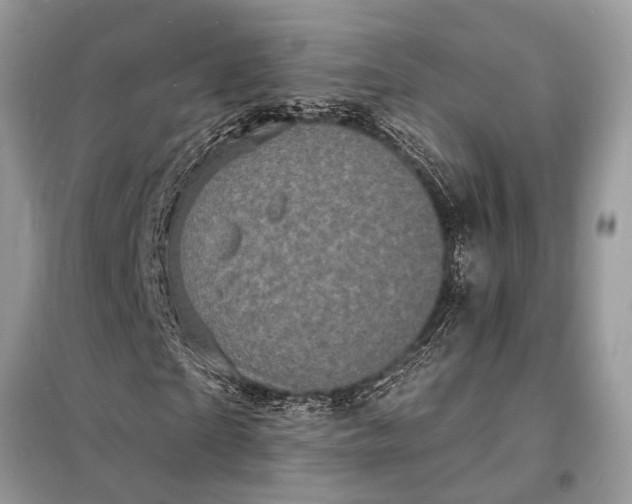 X0000098180865200805081022