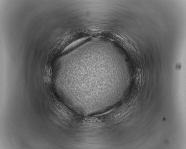 X0000098180866200805081022