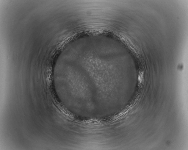 X0000098180867200805081022