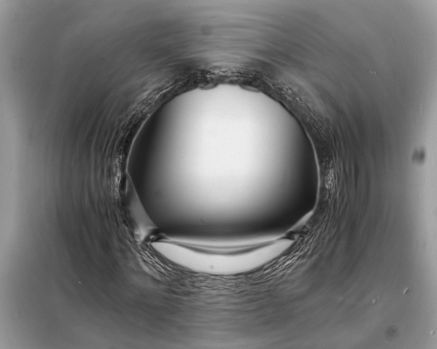 X0000098180868200805081022