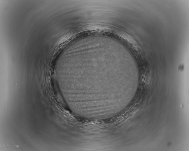 X0000098180869200805081022