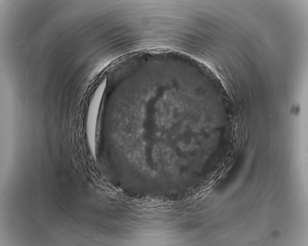 X0000098180871200805081022