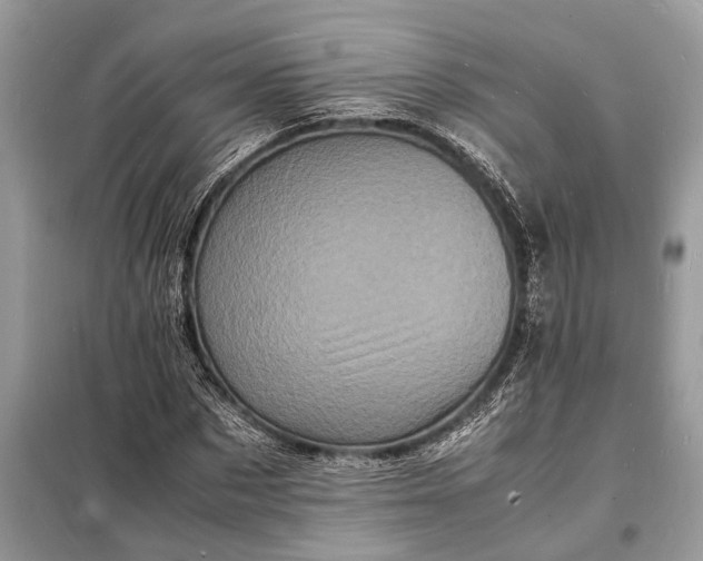 X0000098180873200805081022