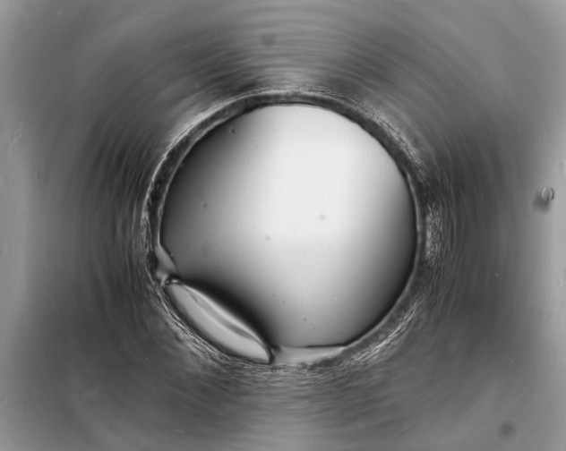 X0000098180876200805081022