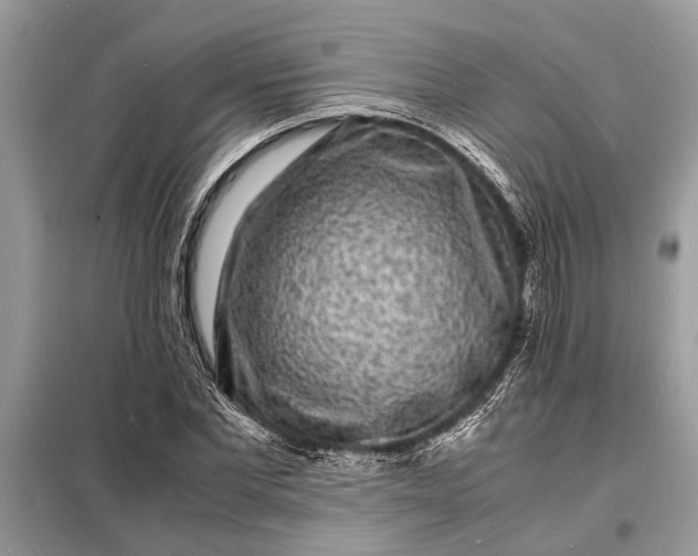 X0000098180877200805081022