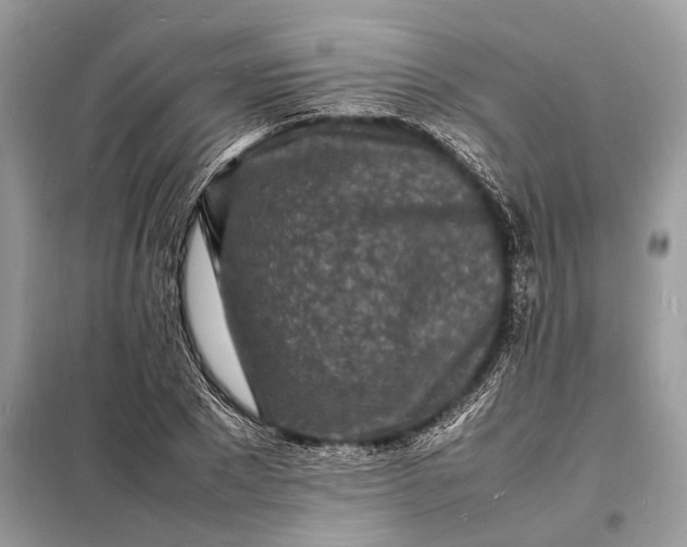 X0000098180881200805081022