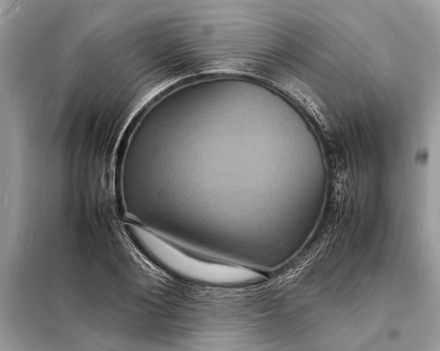 X0000098180884200805081022