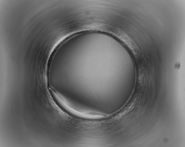 X0000098180888200805081022