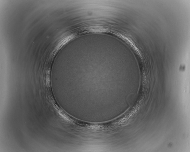 X0000098180889200805081022