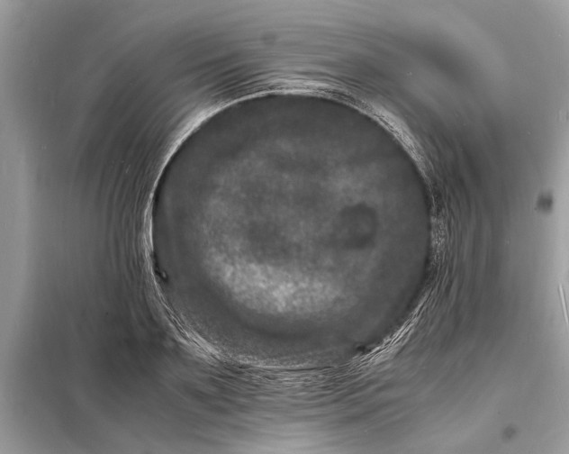 X0000098180891200805081022