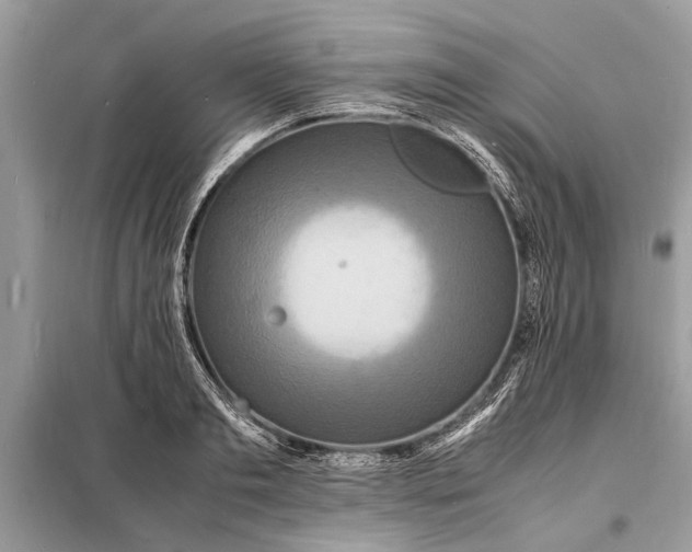 X0000098180893200805081021