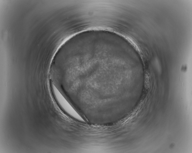 X0000098180895200805081021