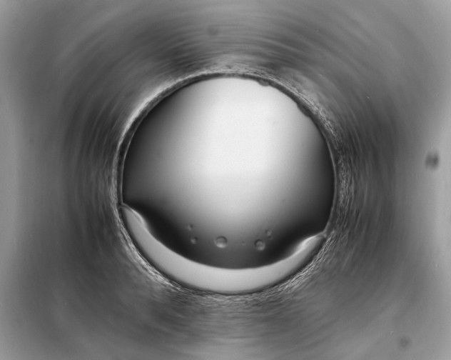 X0000098180896200805081021