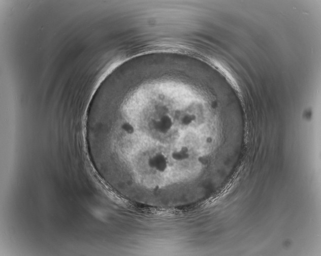 X0000098180899200805081021