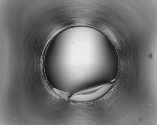 X0000098180900200805081021