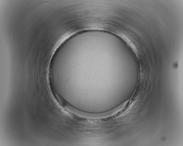 X0000098180901200805081021