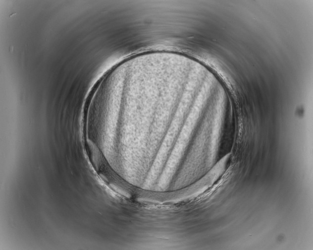 X0000098180902200805081021