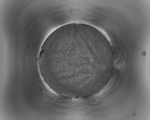 X0000098180903200805081021