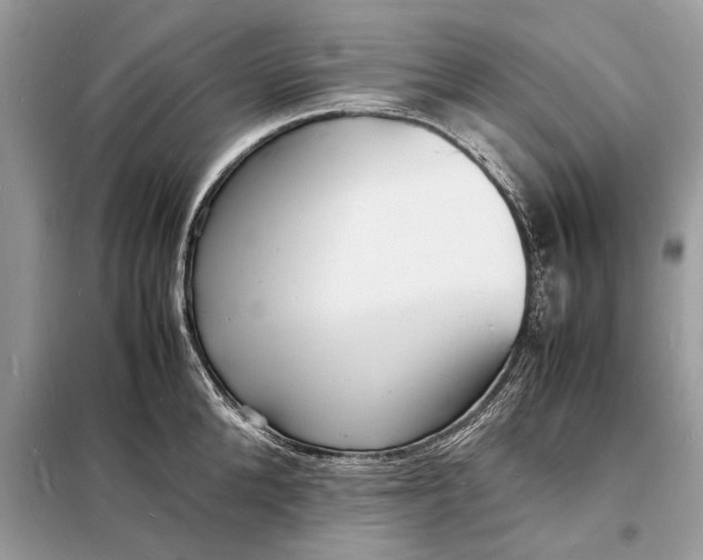 X0000098180904200805081021