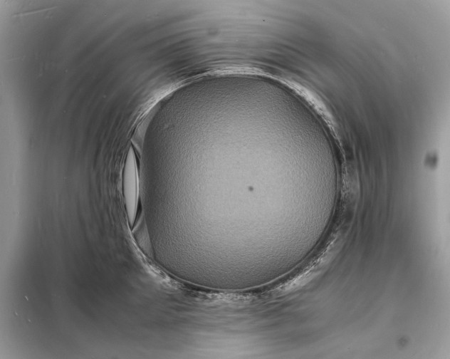 X0000098180905200805081021