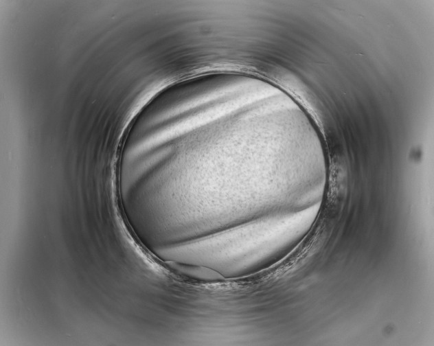 X0000098180906200805081021