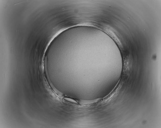 X0000098180908200805081021