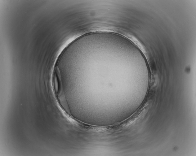 X0000098180909200805081021