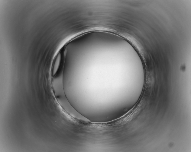 X0000098180910200805081021