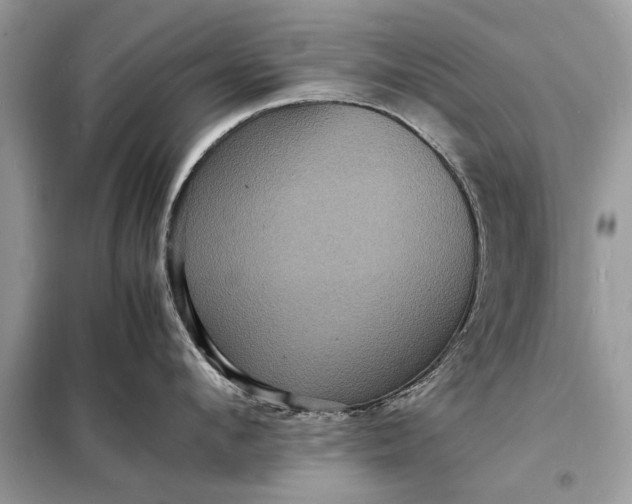 X0000098180912200805081021