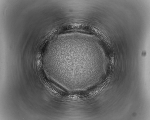 X0000098180914200805081021