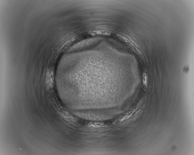 X0000098180915200805081021