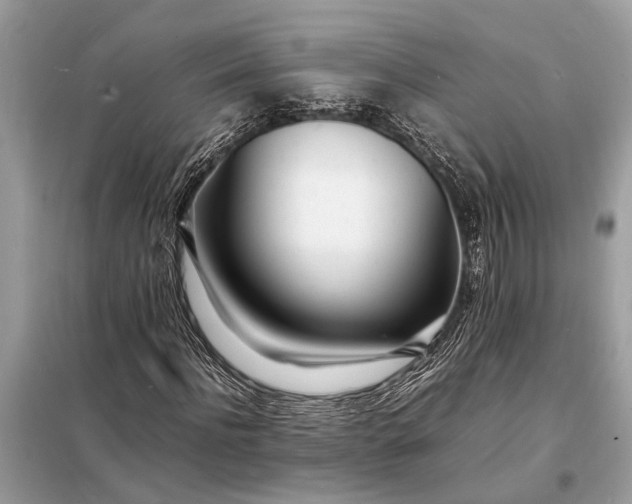 X0000098180916200805081021