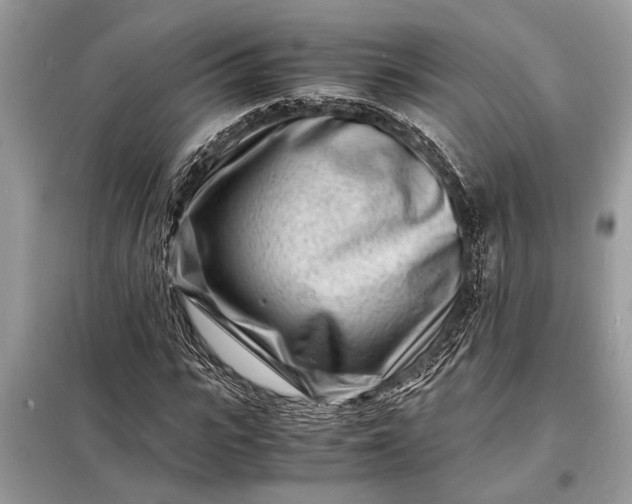 X0000098180919200805081021