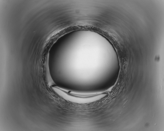 X0000098180920200805081021