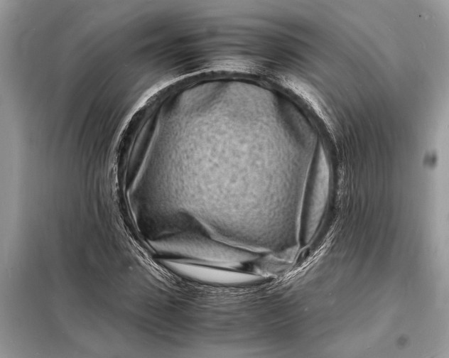 X0000098180923200805081021