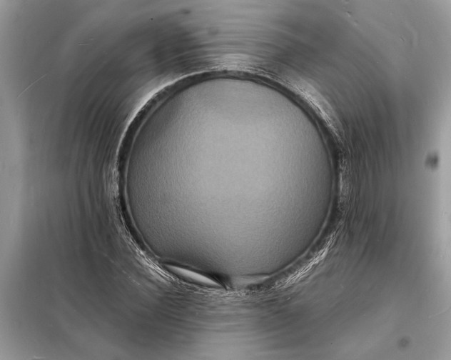 X0000098180924200805081021