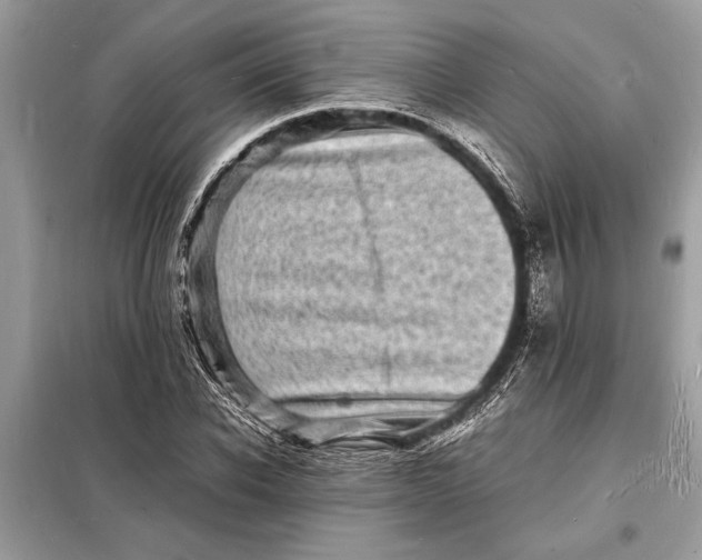 X0000098180926200805081021