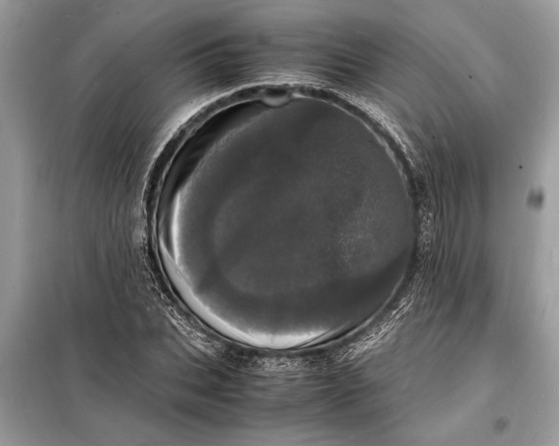 X0000098180927200805081021