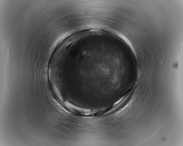 X0000098180930200805081021