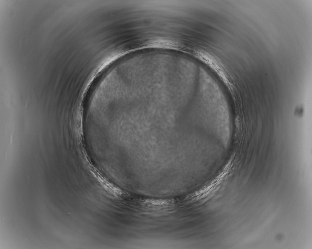 X0000098180931200805081021