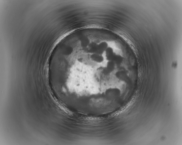 X0000098180933200805081021