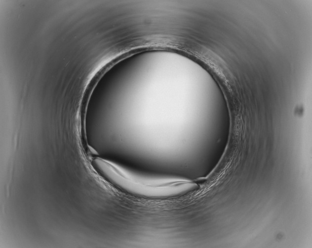 X0000098180936200805081021