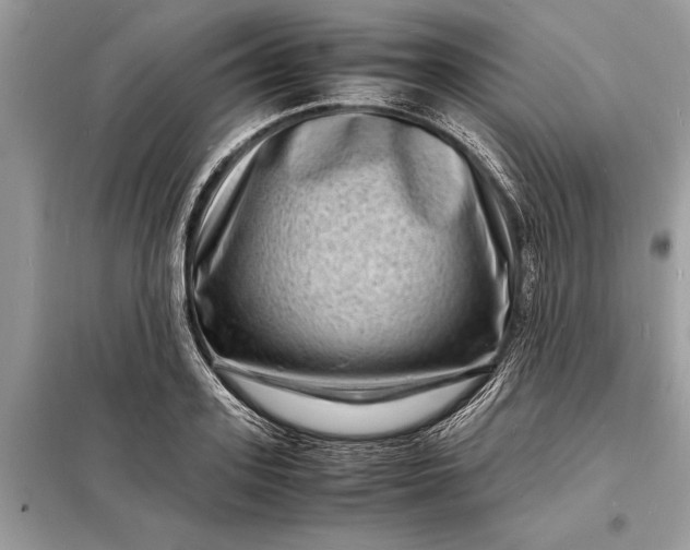 X0000098180939200805081021