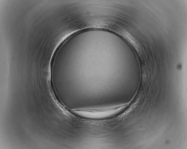 X0000098180940200805081021