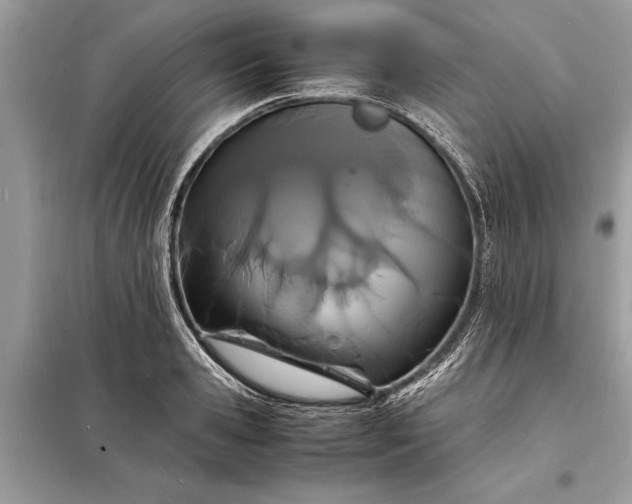 X0000098180941200805081021